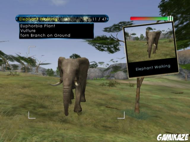 Wild Earth : African Safari