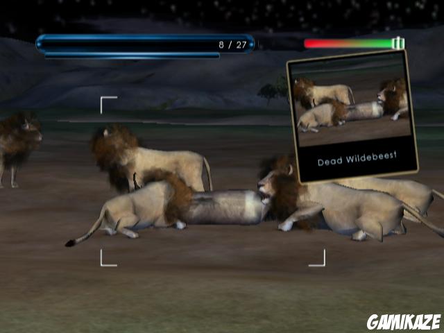 Wild Earth : African Safari