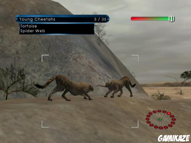 Wild Earth : African Safari