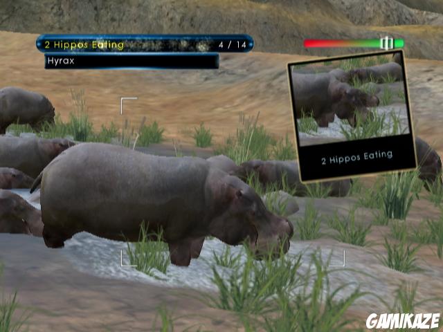 Wild Earth : African Safari