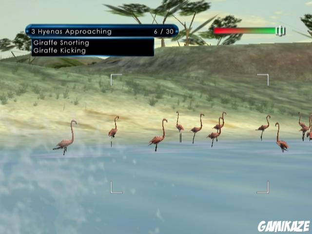 Wild Earth : African Safari