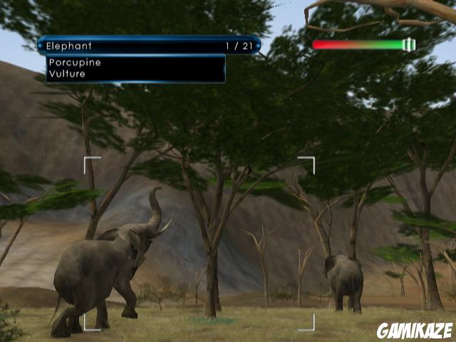 Wild Earth : African Safari