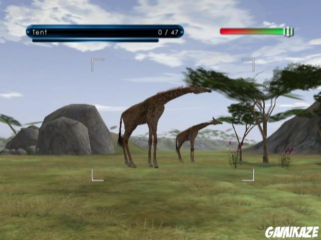 Wild Earth : African Safari