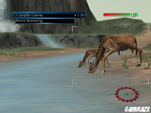 Wild Earth : African Safari