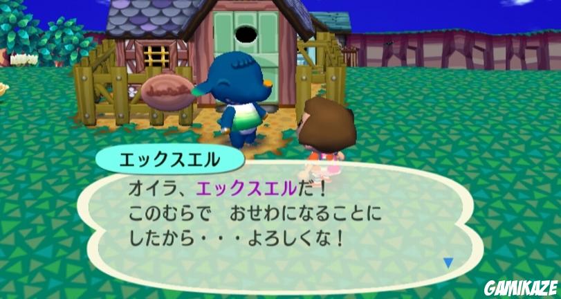 Animal Crossing : Let's go to the City