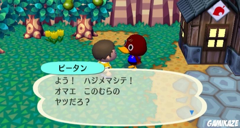 Animal Crossing : Let's go to the City