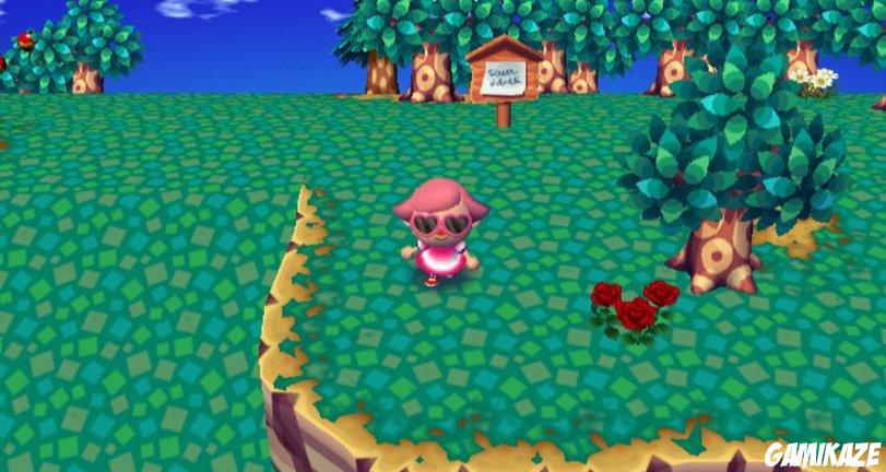 Animal Crossing : Let's go to the City