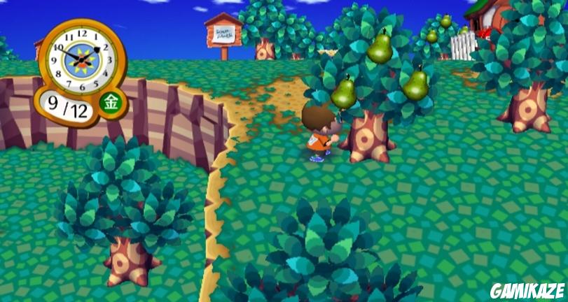 Animal Crossing : Let's go to the City