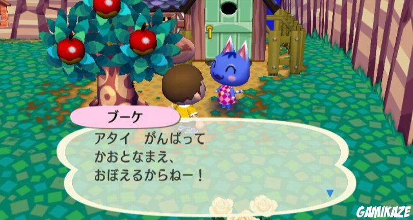 Animal Crossing : Let's go to the City