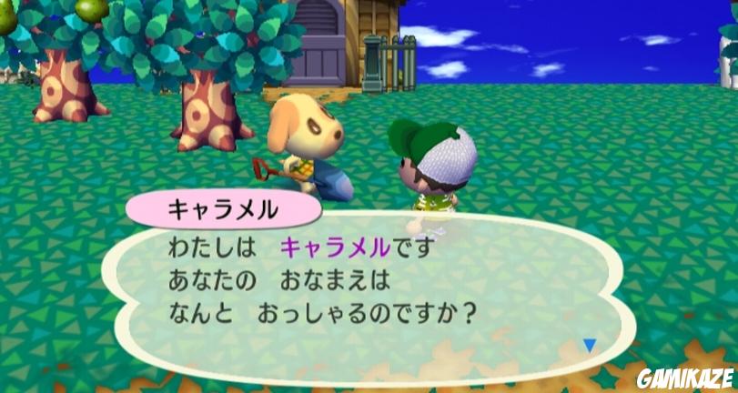 Animal Crossing : Let's go to the City