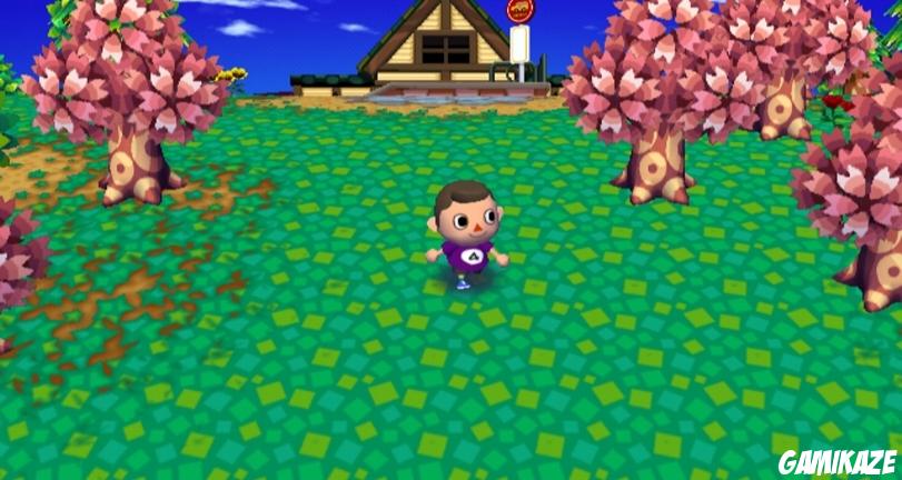 Animal Crossing : Let's go to the City