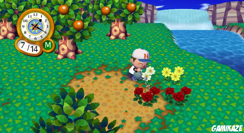 Animal Crossing : Let's go to the City