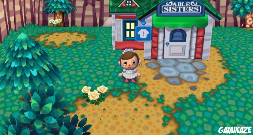 Animal Crossing : Let's go to the City