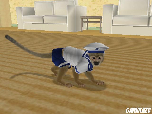 Petz : Singes & Compagnie