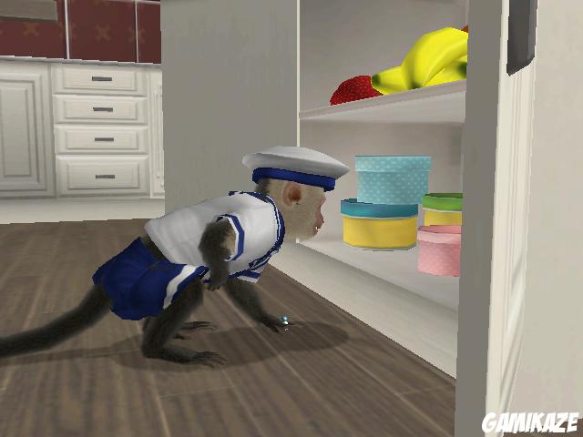 Petz : Singes & Compagnie