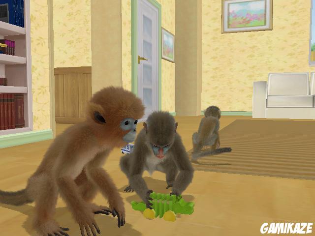 Petz : Singes & Compagnie