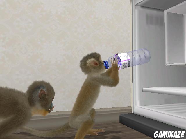 Petz : Singes & Compagnie