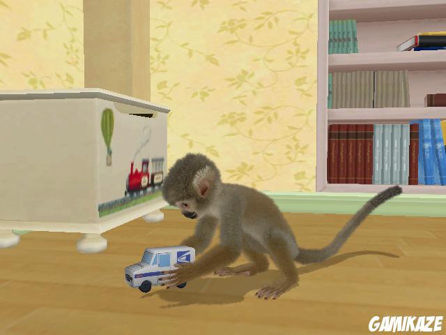 Petz : Singes & Compagnie