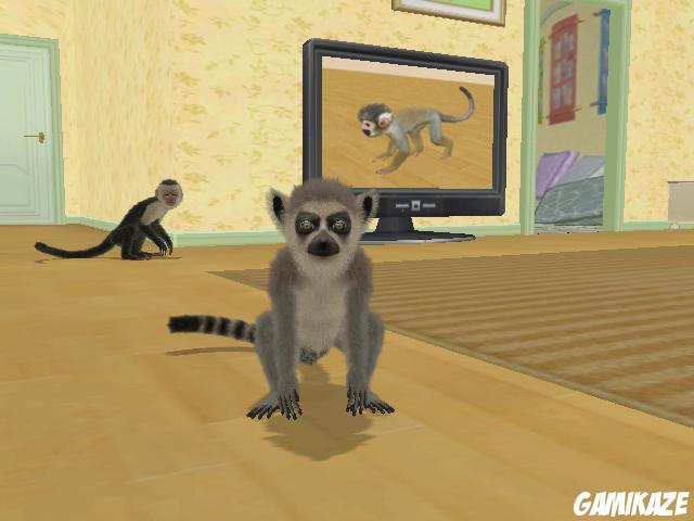 Petz : Singes & Compagnie