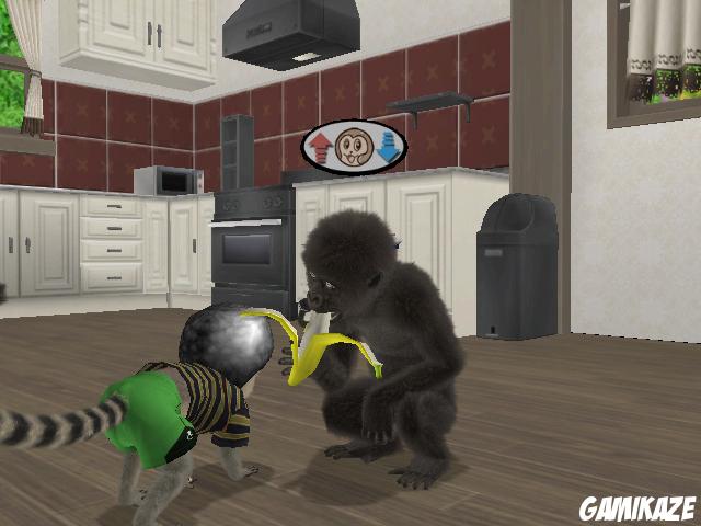 Petz : Singes & Compagnie