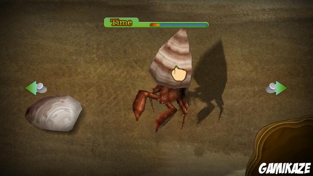 Lost in Blue : Shipwrecked