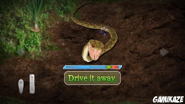 Lost in Blue : Shipwrecked