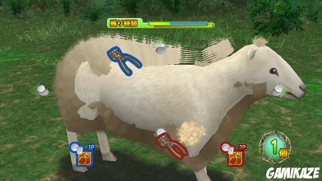 Lost in Blue : Shipwrecked