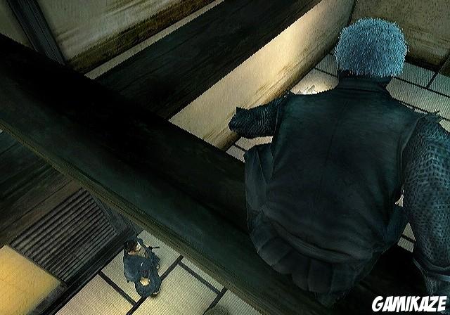 Tenchu Shadow Assassins