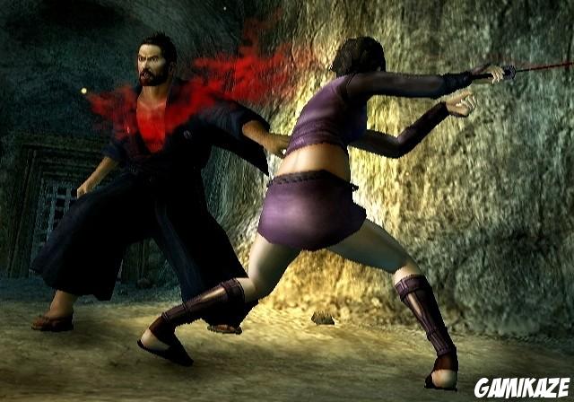 Tenchu Shadow Assassins