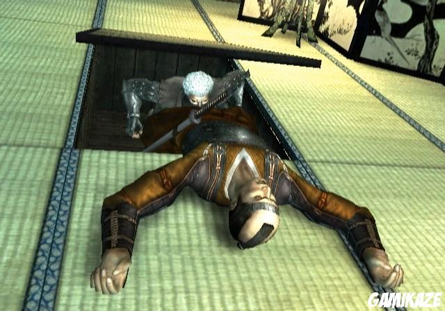 Tenchu Shadow Assassins