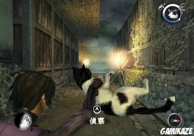 Tenchu Shadow Assassins