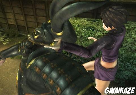 Tenchu Shadow Assassins