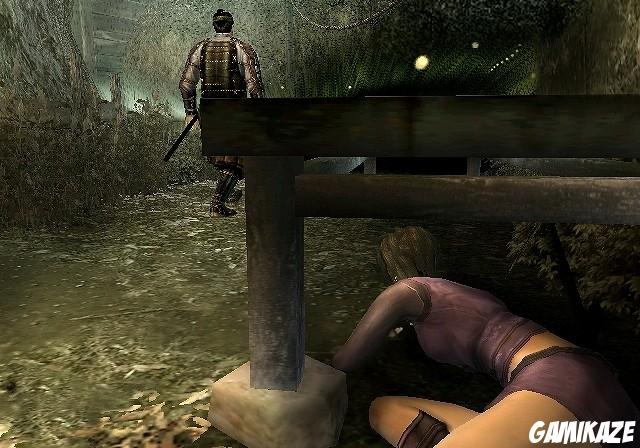 Tenchu Shadow Assassins