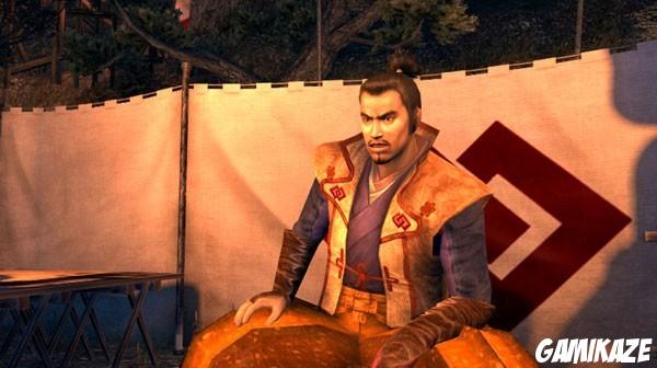 Tenchu Shadow Assassins