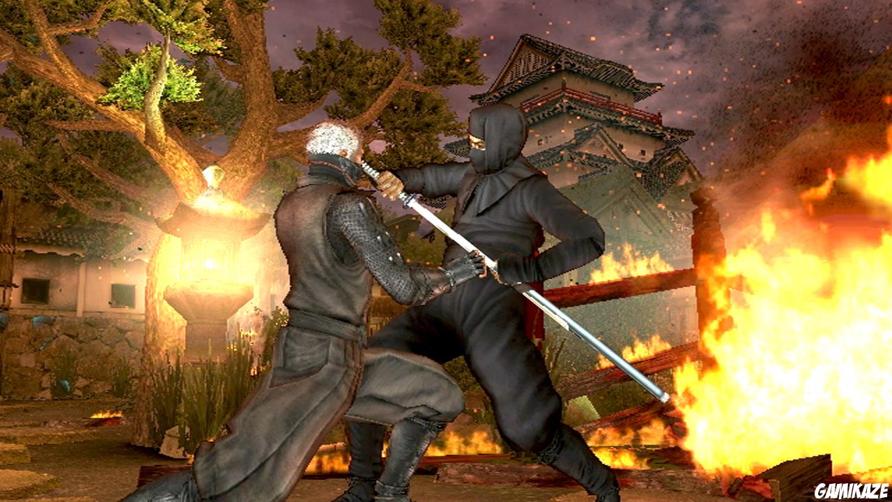 Tenchu Shadow Assassins