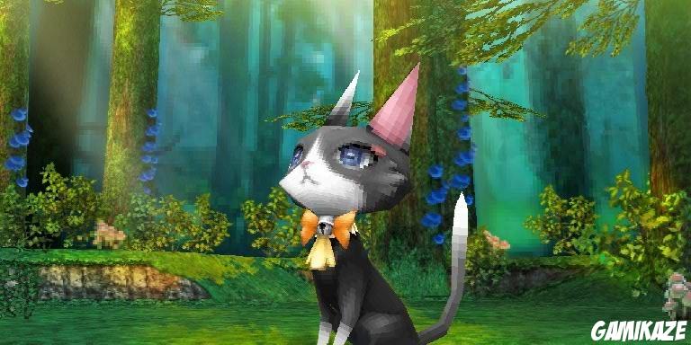 Final Fantasy Crystal Chronicles : Echoes of Time