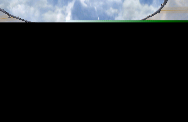 Secret Files 2 : Puritas Cordis