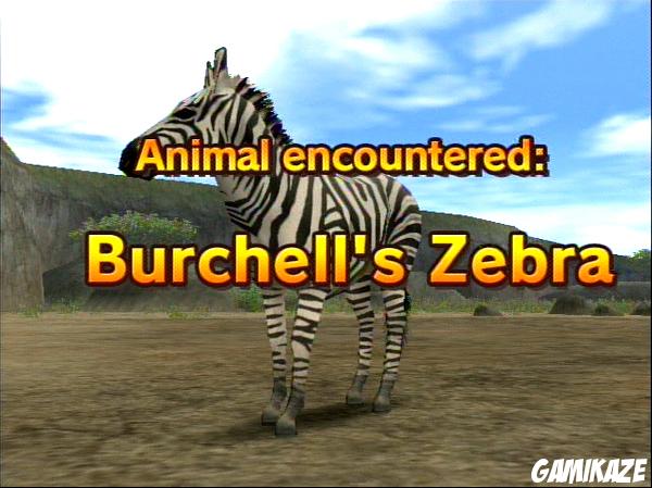 Animal Kingdom : Wildlife Expedition