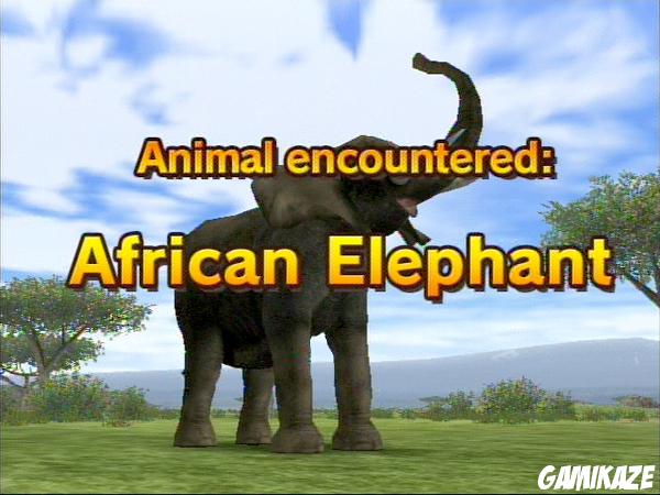 Animal Kingdom : Wildlife Expedition