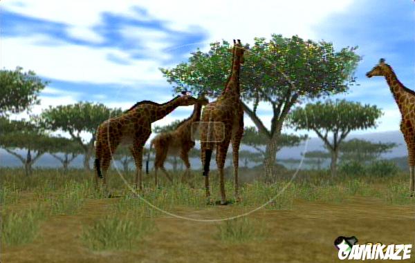 Animal Kingdom : Wildlife Expedition