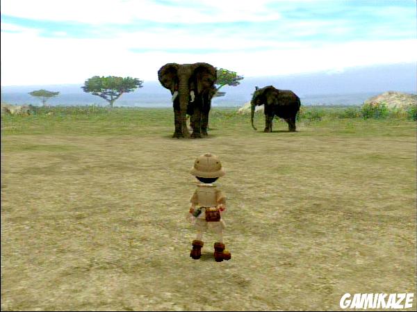 Animal Kingdom : Wildlife Expedition