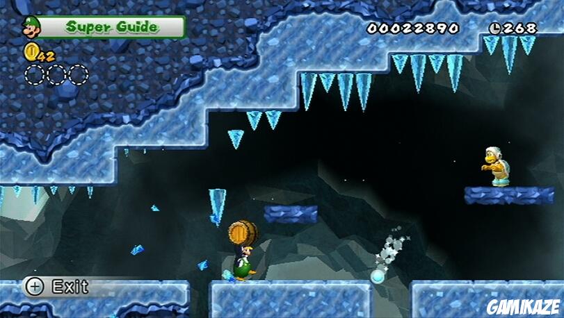 New Super Mario Bros. Wii