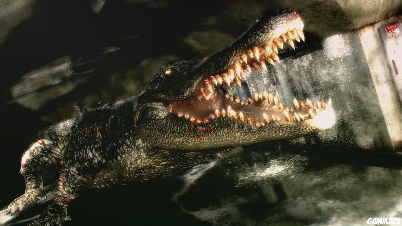 Resident Evil : The Darkside Chronicles