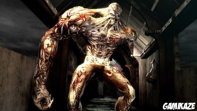 Resident Evil : The Darkside Chronicles