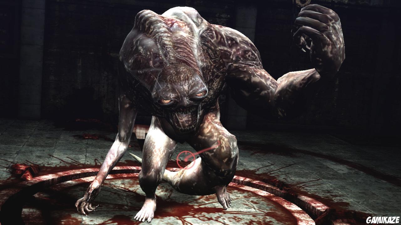 Resident Evil : The Darkside Chronicles