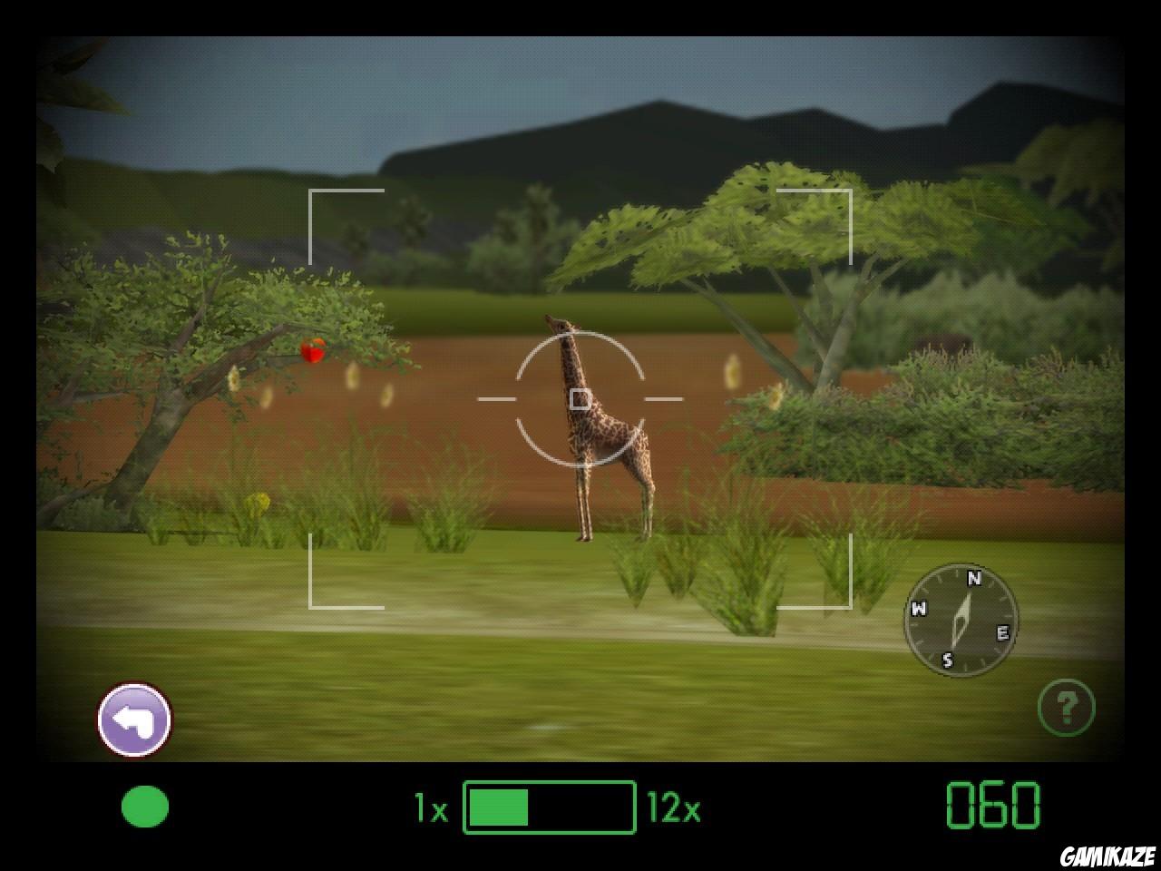 Jambo! Safari Ranger Adventure