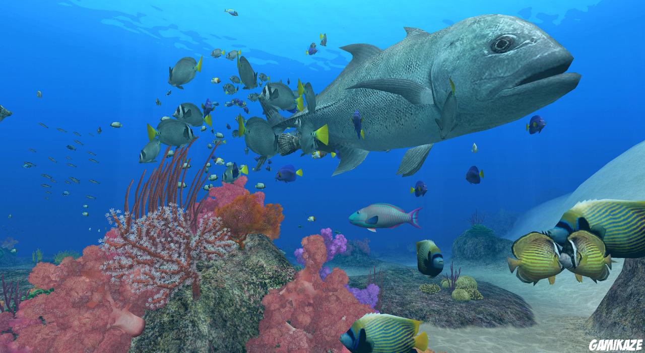 Endless Ocean 2 : Aventuriers des Fonds Marins