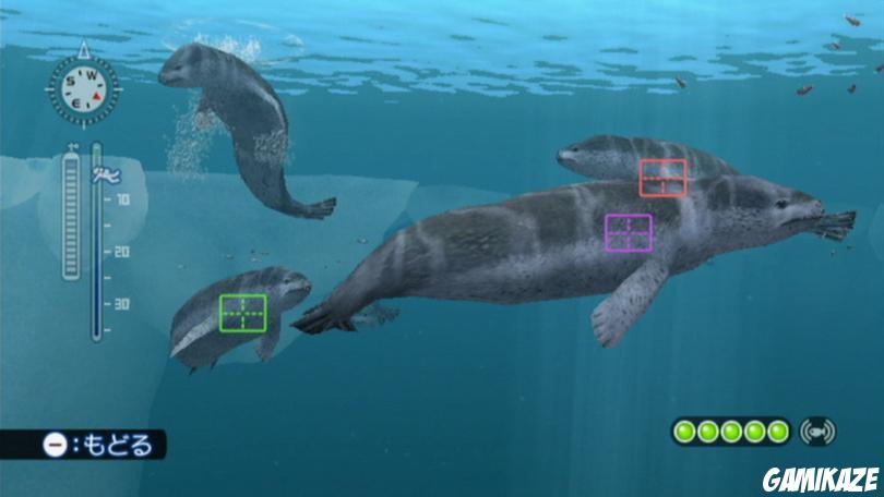 Endless Ocean 2 : Aventuriers des Fonds Marins