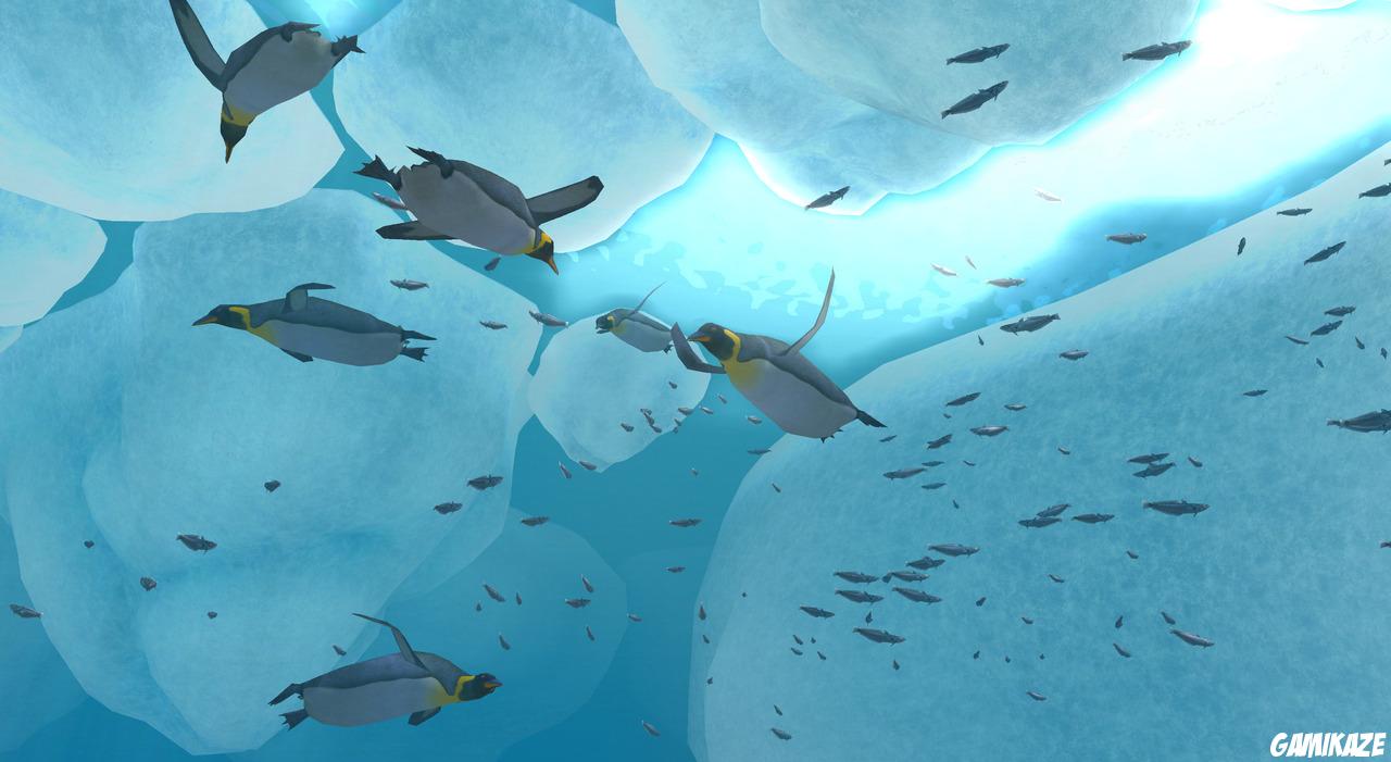 Endless Ocean 2 : Aventuriers des Fonds Marins