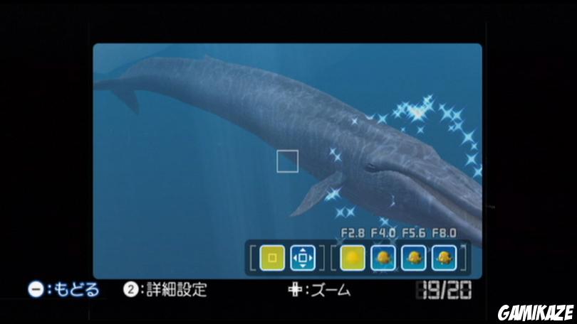 Endless Ocean 2 : Aventuriers des Fonds Marins